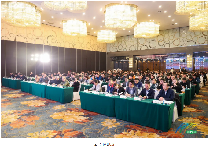 1739239616188839Wayy.png image.png